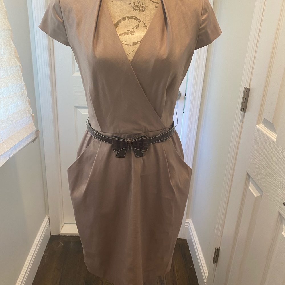 Suzy Chin for Maggy Boutique Brown Dress Size Medium